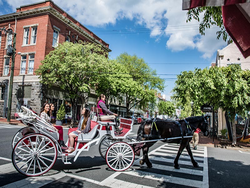 Olde Towne Carriage Tours of Fredericksburg